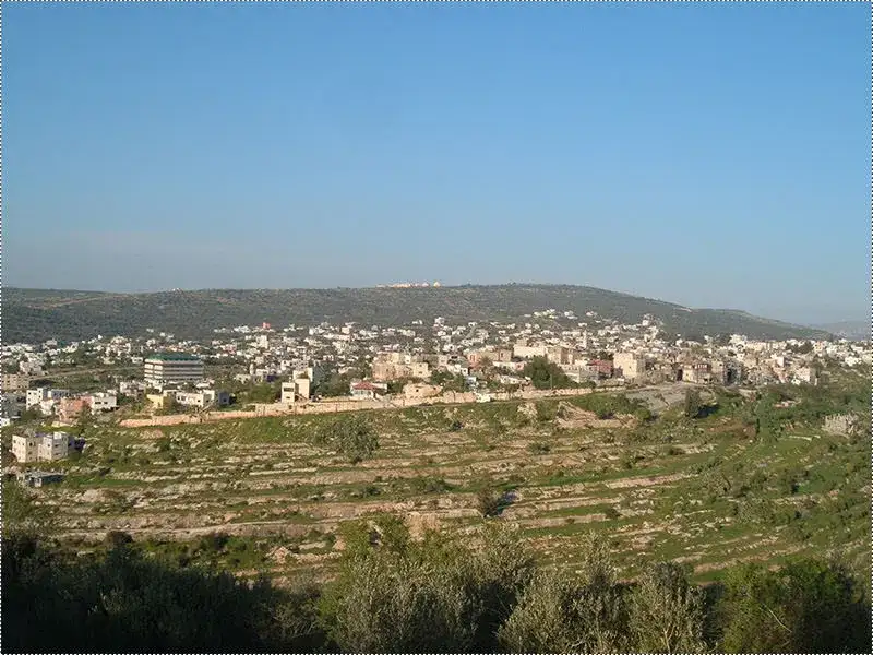 View of Salfit town, Palestine, with terraced olive groves in the foreground